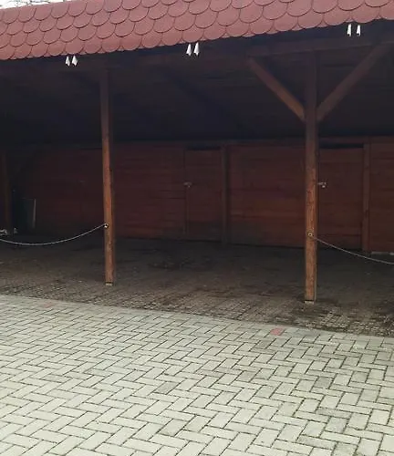 Safari Apartament